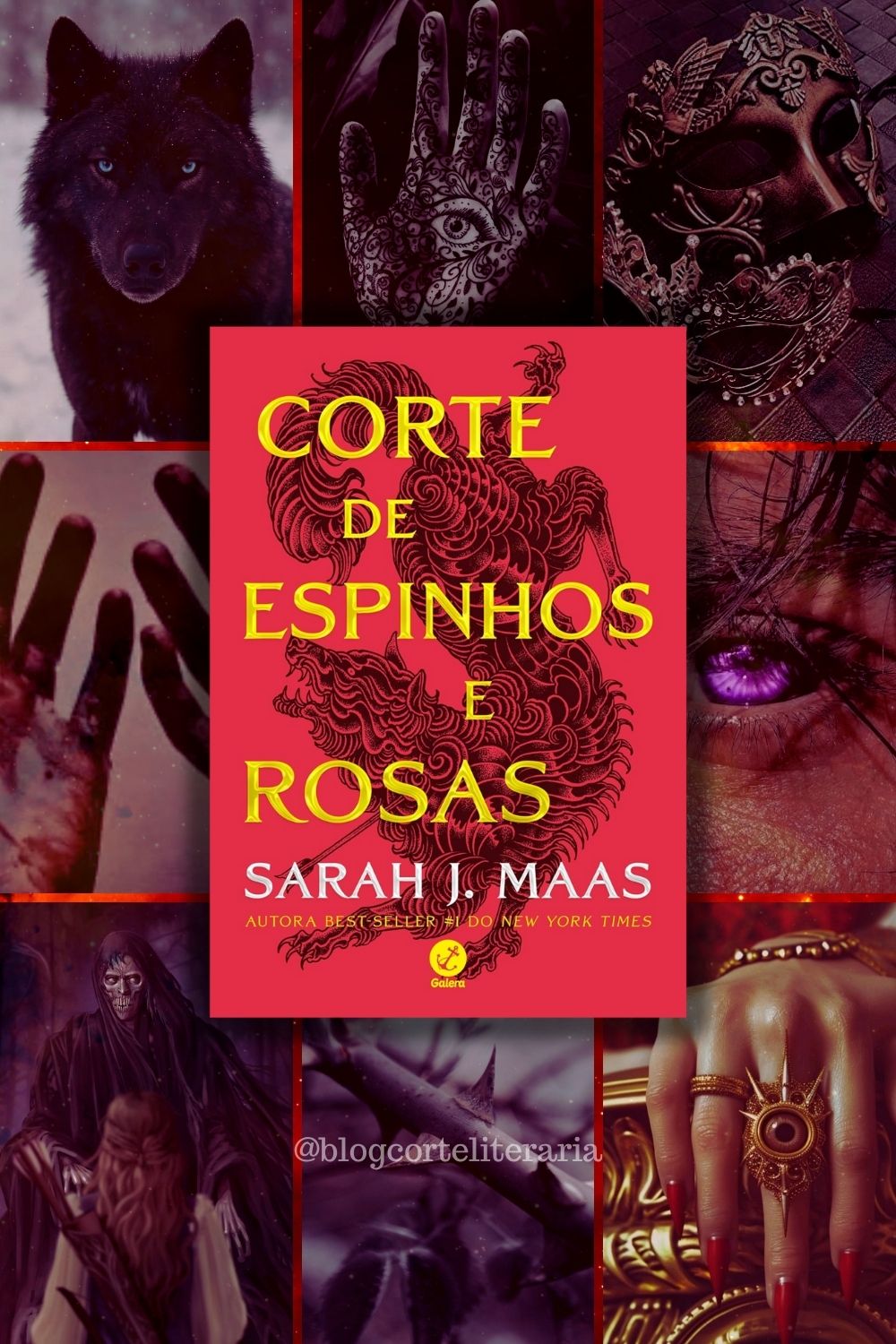 imagem aesthetic do livro corte de espinhos e rosas de sarah j maas para ilustrar o artigo sobre a ordem de leitura da serie acotar